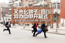 又来幺蛾子!四川弃办中甲开幕式 因股权转让未完成:熊猫娱乐(图2) 熊猫体育