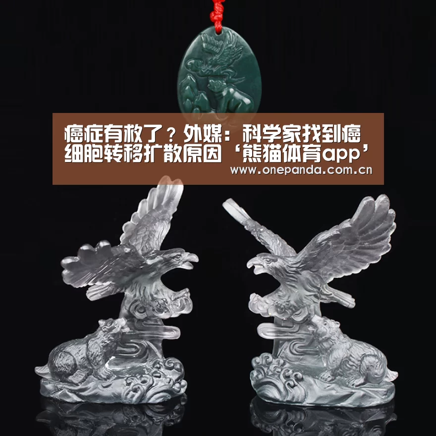 癌症有救了?外媒:科学家找到癌细胞转移扩散原因‘熊猫体育app’(图2) 熊猫体育app