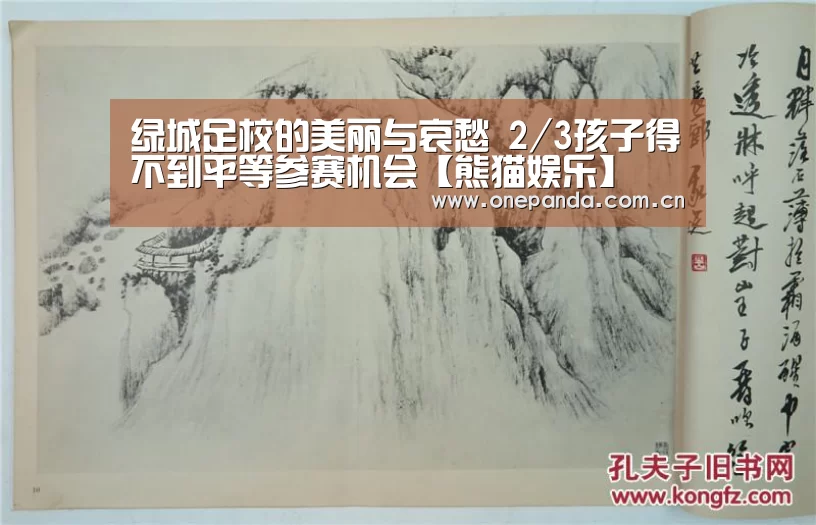 绿城足校的美丽与哀愁 2/3孩子得不到平等参赛机会【熊猫娱乐】(图3) 熊猫体育平台