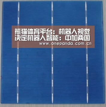 熊猫体育平台:机器人视觉决定机器人智能:中加两国合作研发机器人认知技术获得革命性进展(图2) 熊猫体育app