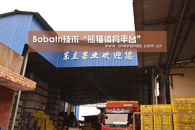 熊猫娱乐