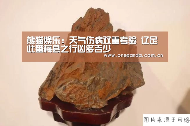 熊猫娱乐:天气伤病双重考验 辽足此番梅县之行凶多吉少(图3) 熊猫娱乐