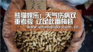 熊猫娱乐:天气伤病双重考验 辽足此番梅县之行凶多吉少(图2) 熊猫体育