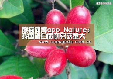 熊猫体育app_Nature:我国蛋白质研究获重大突破(图1) 熊猫娱乐