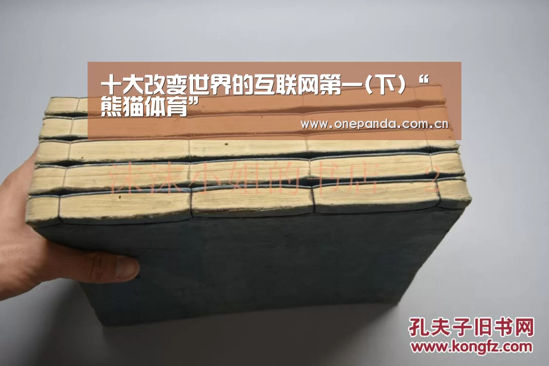 十大改变世界的互联网第一(下)“熊猫体育”(图1) 熊猫娱乐