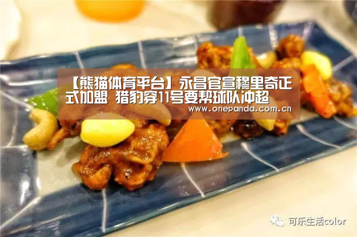 【熊猫体育平台】永昌官宣穆里奇正式加盟 猎豹穿11号要帮球队冲超(图1) 熊猫体育