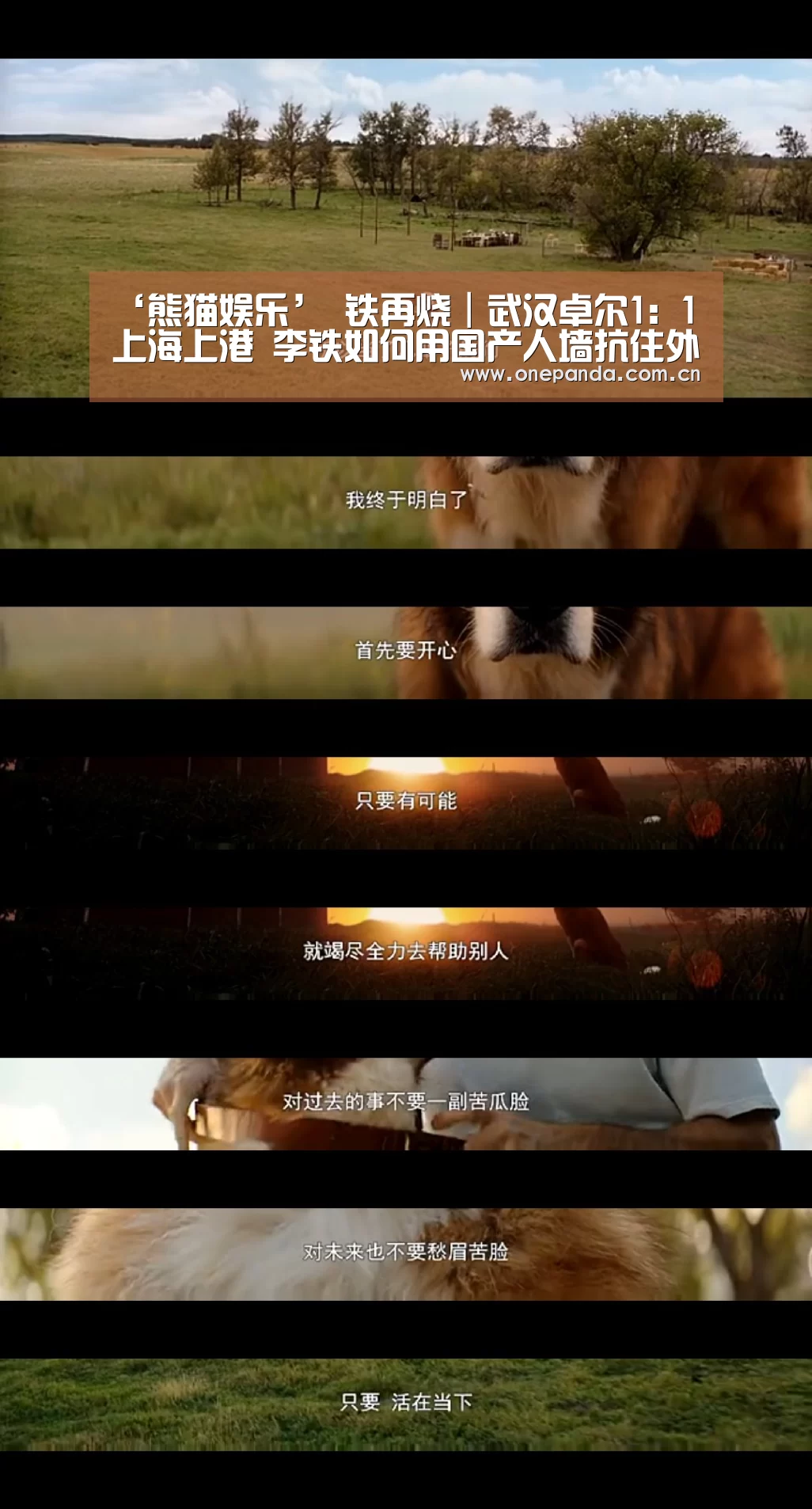 熊猫体育app