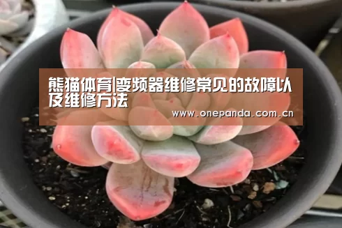 熊猫体育|变频器维修常见的故障以及维修方法(图2) 熊猫体育