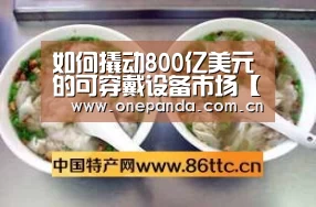 如何撬动800亿美元的可穿戴设备市场【熊猫体育平台】(图1) 熊猫体育
