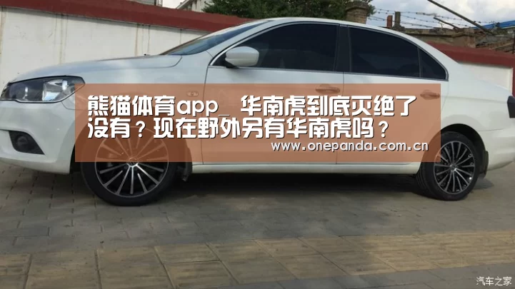 熊猫体育app_
华南虎到底灭绝了没有?现在野外另有华南虎吗?(图2) 熊猫娱乐