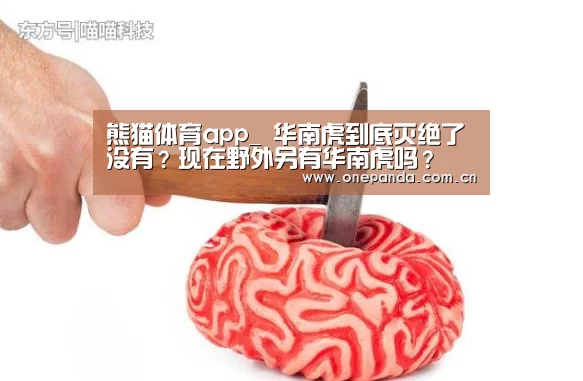 熊猫体育app_
华南虎到底灭绝了没有?现在野外另有华南虎吗?(图3) 熊猫体育平台