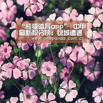 熊猫体育